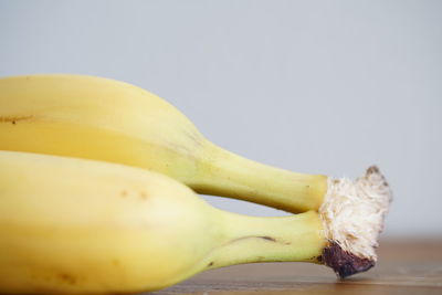 Close-up of bananas on table against white background