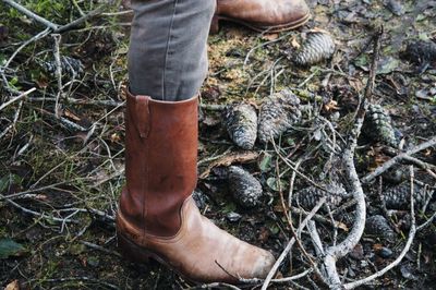 Low section of person standing by pine cones and sticks in forest