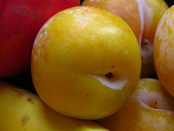 Close-up of yellow plums