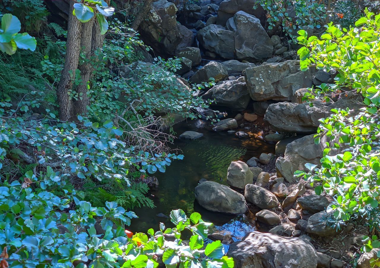 HIGH ANGLE VIEW OF WATER FLOWING THROUGH ROCKS