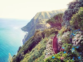 Scenic view of sea against blue sky