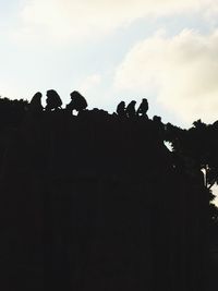 Low angle view of silhouette trees against sky