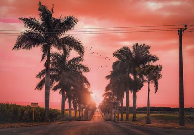 Diminishing perspective of road amidst palm trees against sky during sunset