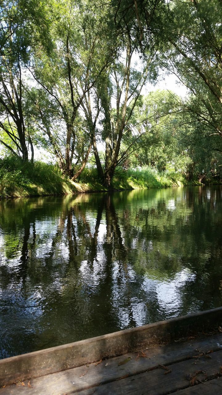 tree, water, tranquility, lake, tranquil scene, reflection, beauty in nature, branch, nature, growth, scenics, river, tree trunk, green color, idyllic, day, outdoors, no people, sunlight, sky