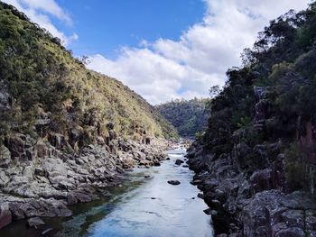 Scenic view of river amidst trees against sky