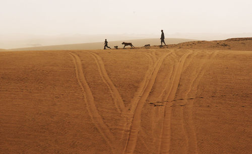 Man and boy with dogs at sandy desert against sky