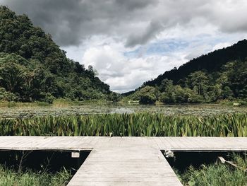 Scenic view of green landscape against sky