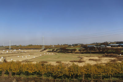 Scenic view of field against clear blue sky