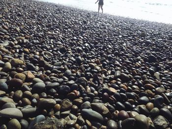 Surface level of pebbles