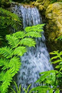 Scenic view of waterfall