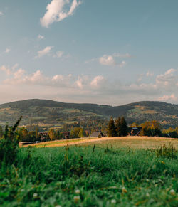 Scenic view of agricultural field against sky