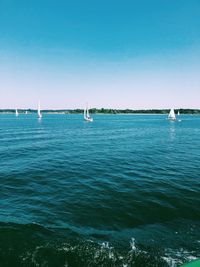 Sailboats sailing in sea against clear blue sky