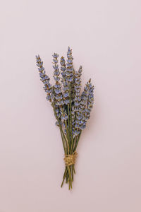 Small bouquet of lavender flowers on pink background. home decor