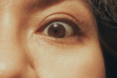 Close-up of human eye