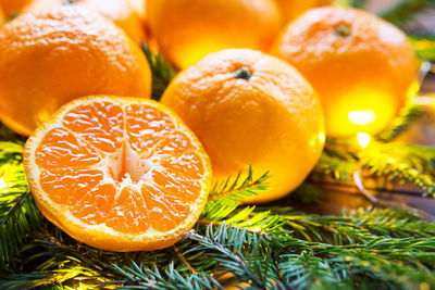 Fresh tangerines in garland lights, on fir branches and tinsel - new year's bright background.