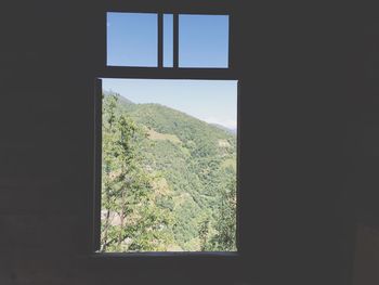 View of trees through window