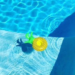 High angle view of person swimming in pool