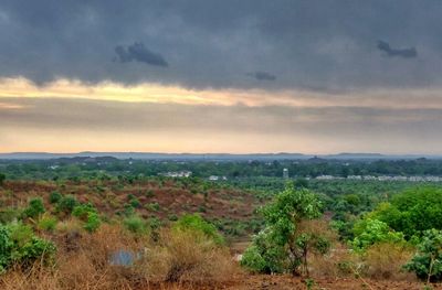 Scenic view of landscape against sky