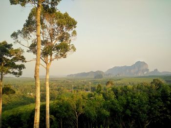 Scenic view of trees and mountains against sky