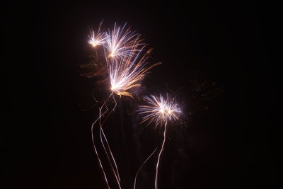 Low angle view of firework display