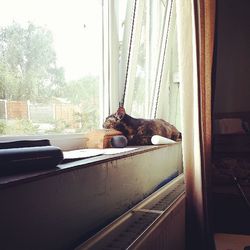 View of window