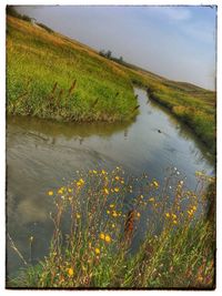 Scenic view of field by lake against sky