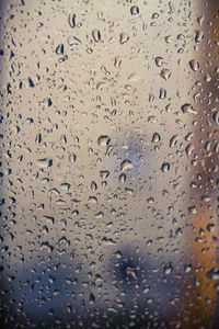 Close-up of water drops on white background