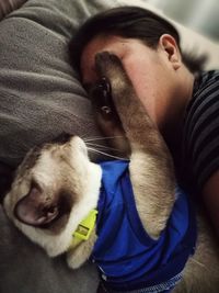 Close-up of dog lying on man at home