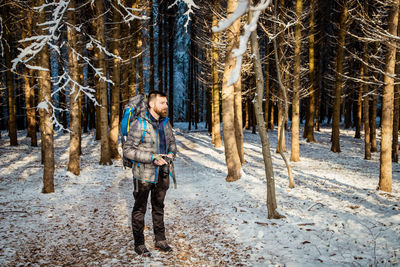 Bare trees in forest during winter