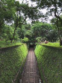 Footpath amidst retaining walls at park