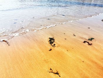 High angle view of sand on beach