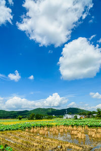 sky