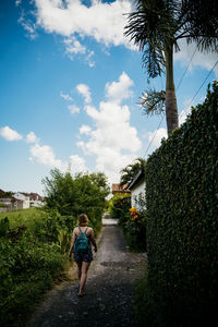 Rear view of woman walking amidst plants against sky