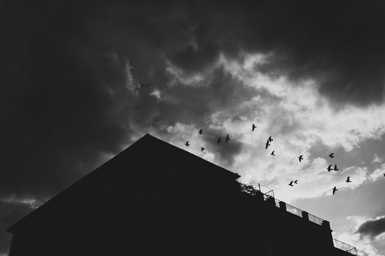 LOW ANGLE VIEW OF SILHOUETTE BIRDS FLYING OVER BUILDING