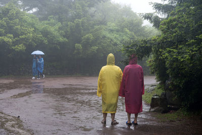 Rear view of men in raincoat walking on road amidst trees