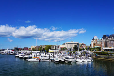 Boats moored at harbor