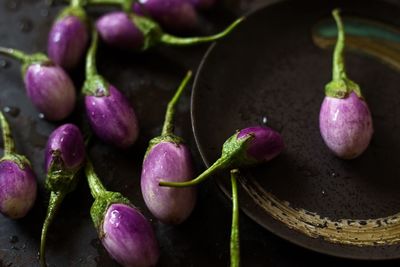 High angle view of eggplants in container on table