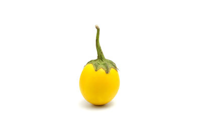 Close-up of yellow fruit against white background