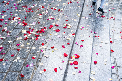 High angle view of red petals on footpath
