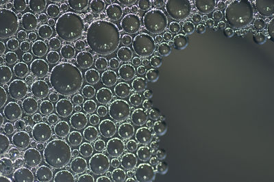 Close-up of water drops on leaf