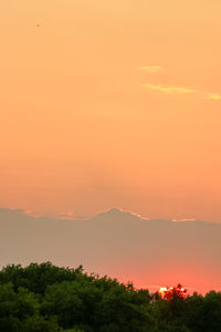 Scenic view of silhouette trees against orange sky