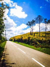 Empty road with trees in background