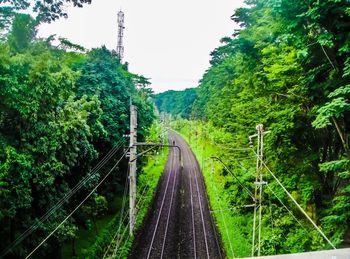 Railroad tracks amidst trees against sky