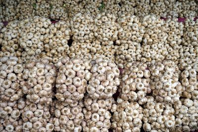 Goups of garlic in market, one of most popular food ingredient and herb
