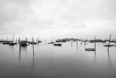 Sailboats moored in harbor against sky