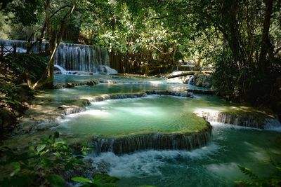 Scenic view of waterfall in forest