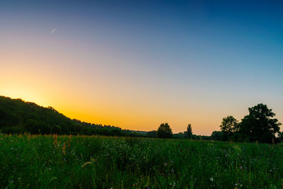 Scenic view of field against sky during sunset