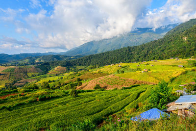 Landscape of pa pong piang rice terraces with homestay on mountain, mae chaem, chiang mai
