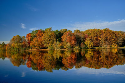 reflection