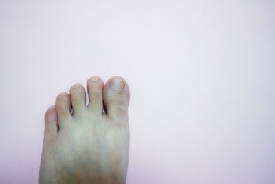 Close-up of hand over white background
